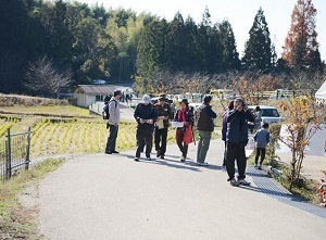 山背古道の写真