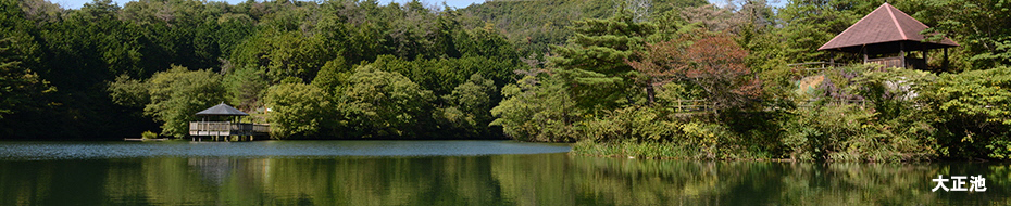 大正池のなかの静かな池と木々の写真