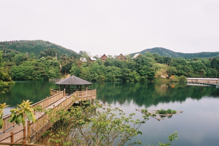 taishoikegreenpark