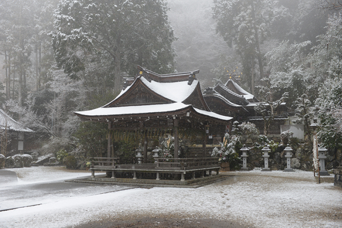 雪化粧した玉津岡神社