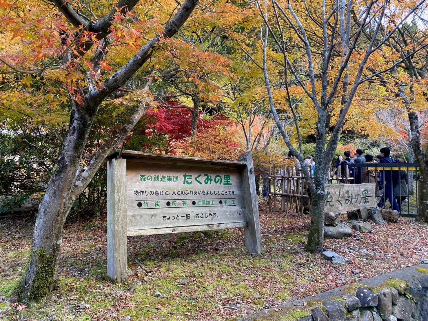 たくみの里紅葉