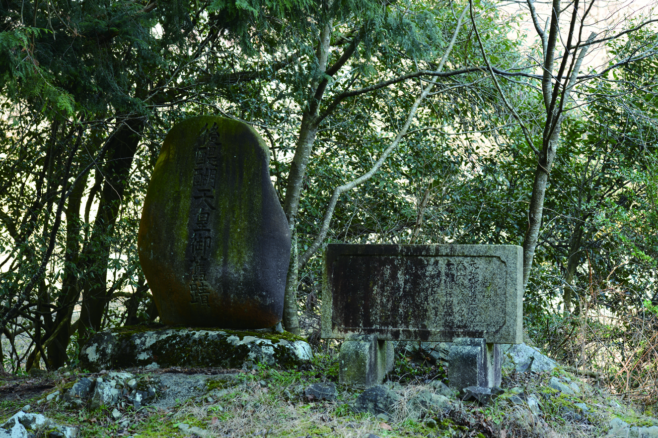 松の下露